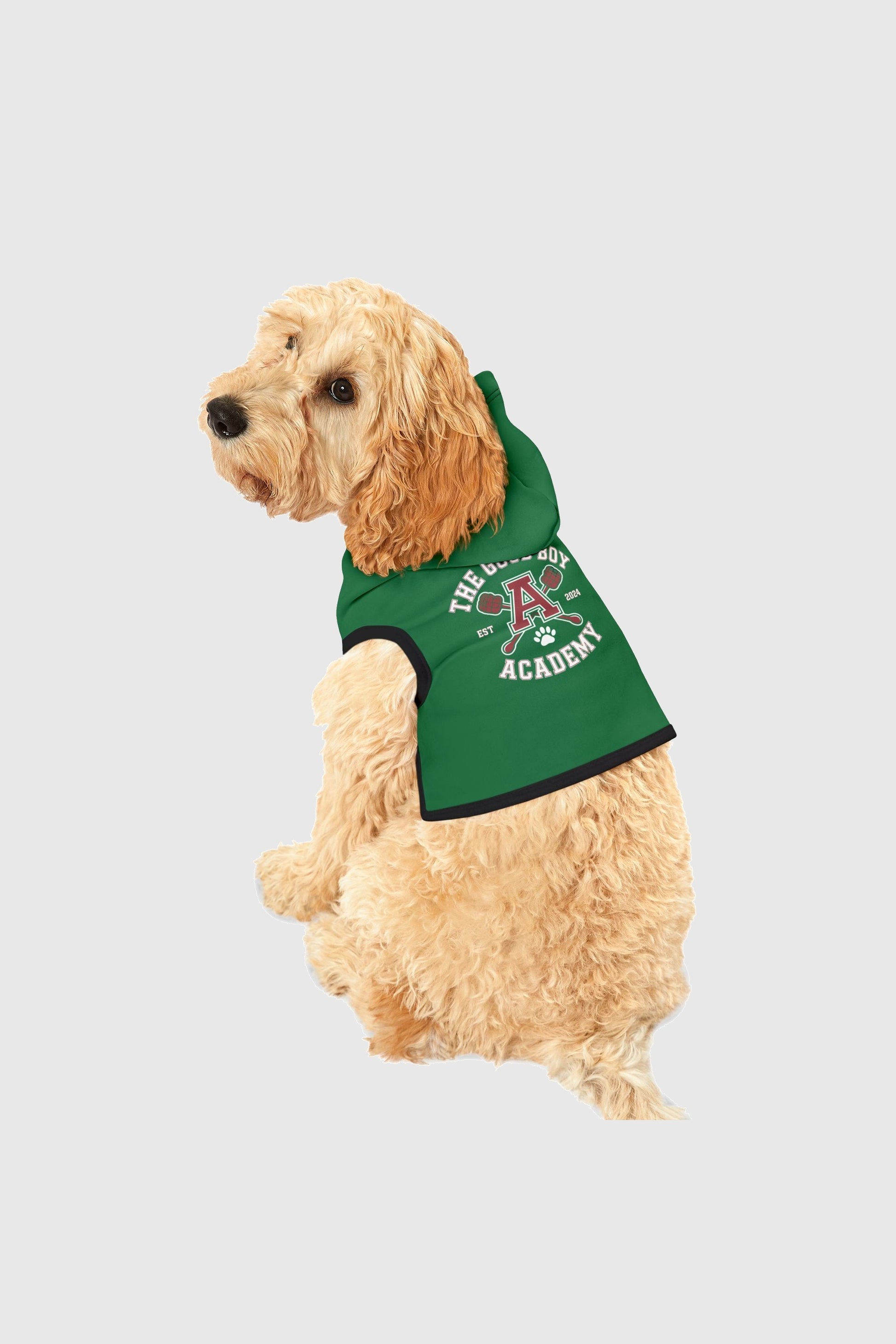 Labrador wearing green the good boy academy dog hoodie