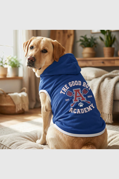 Blue dog hoodie with the good boy academy print, pullover style