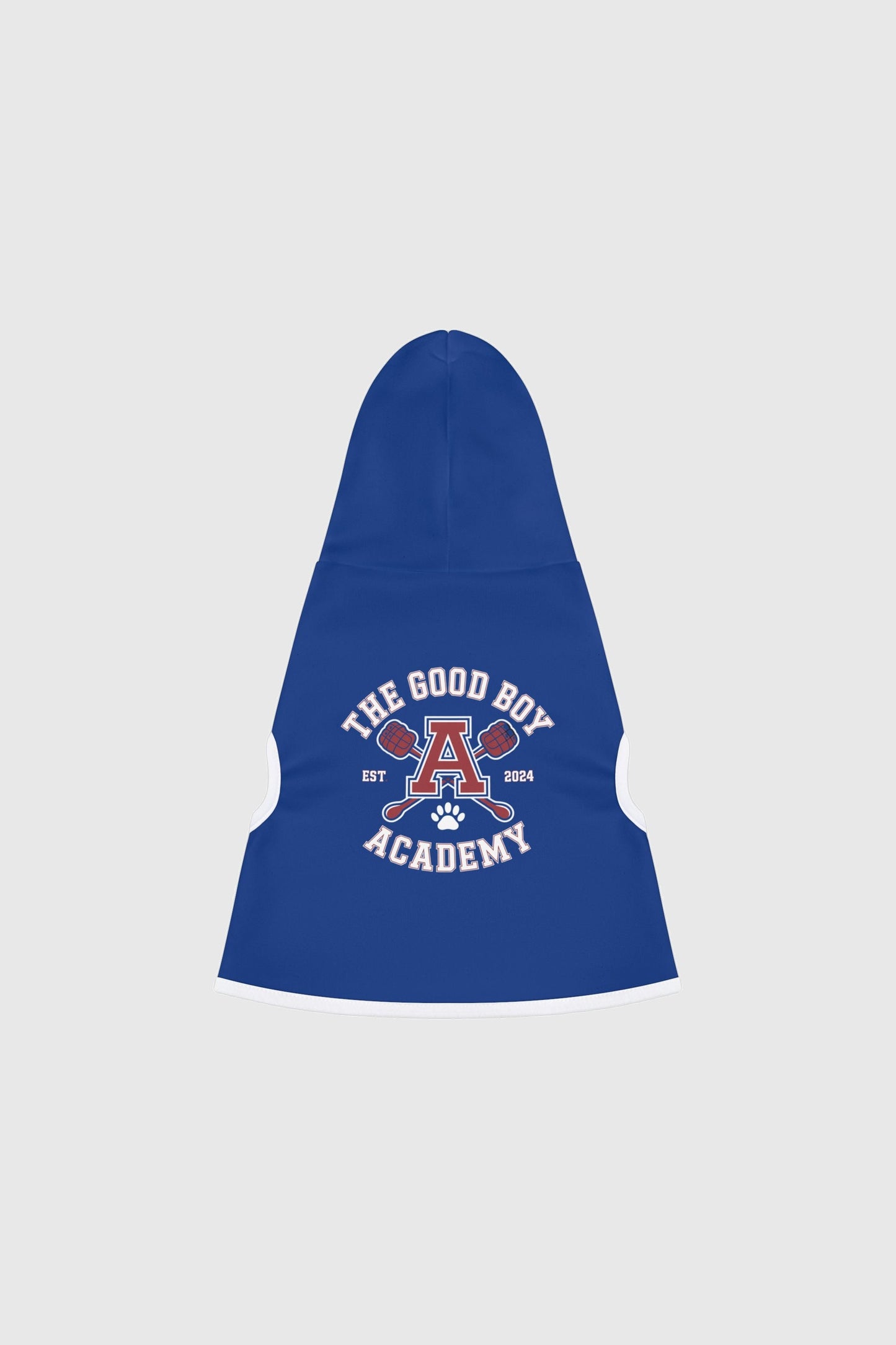 Golden retriever wearing blue the good boy academy dog hoodie
