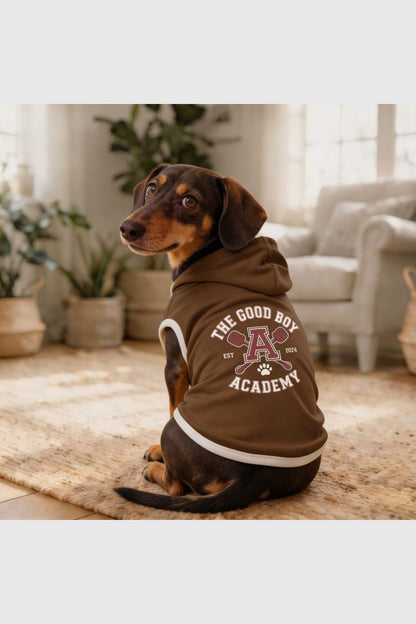 Brown dog hoodie with the good boy academy print, pullover style