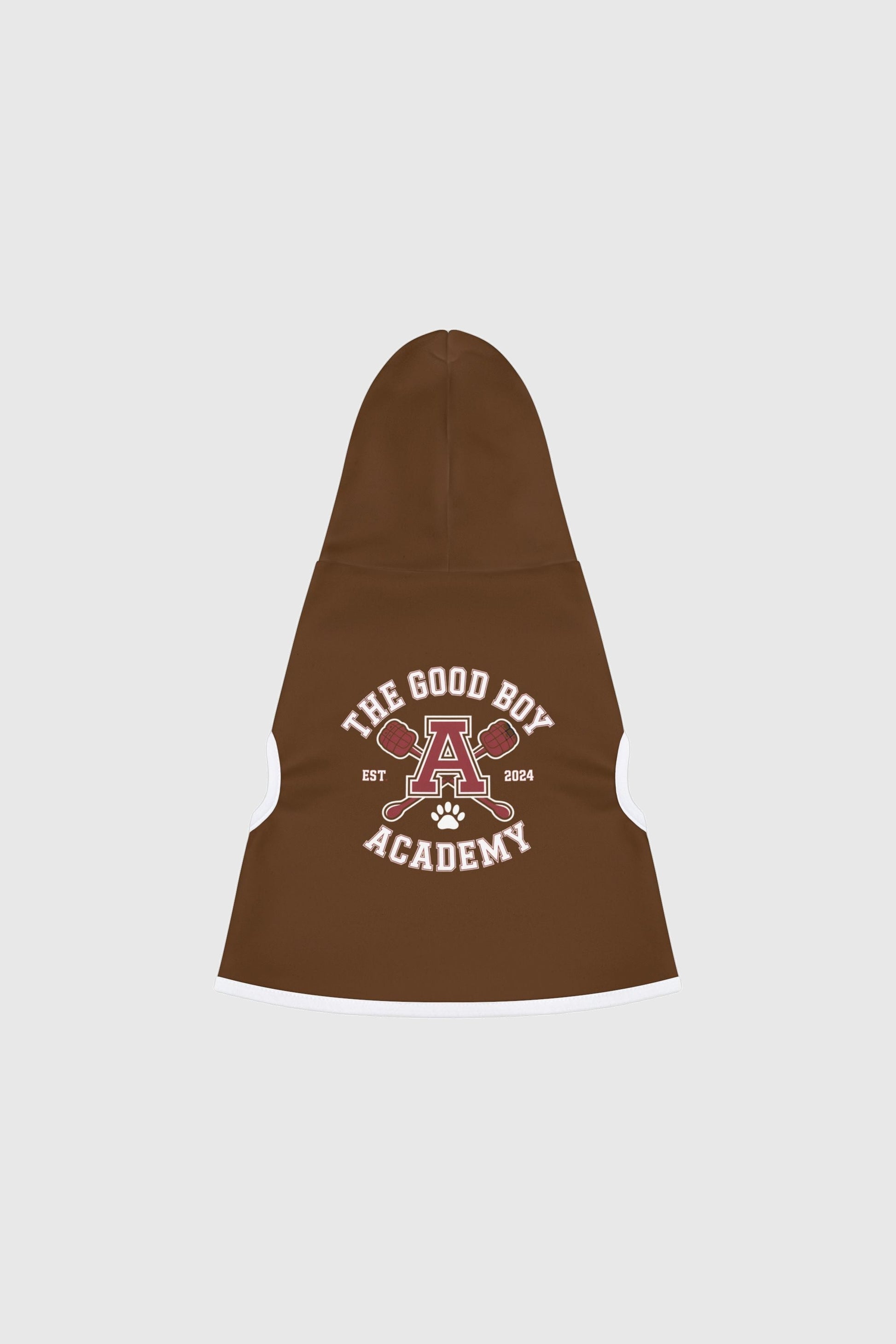 Golden retriever wearing brown the good boy academy dog hoodie