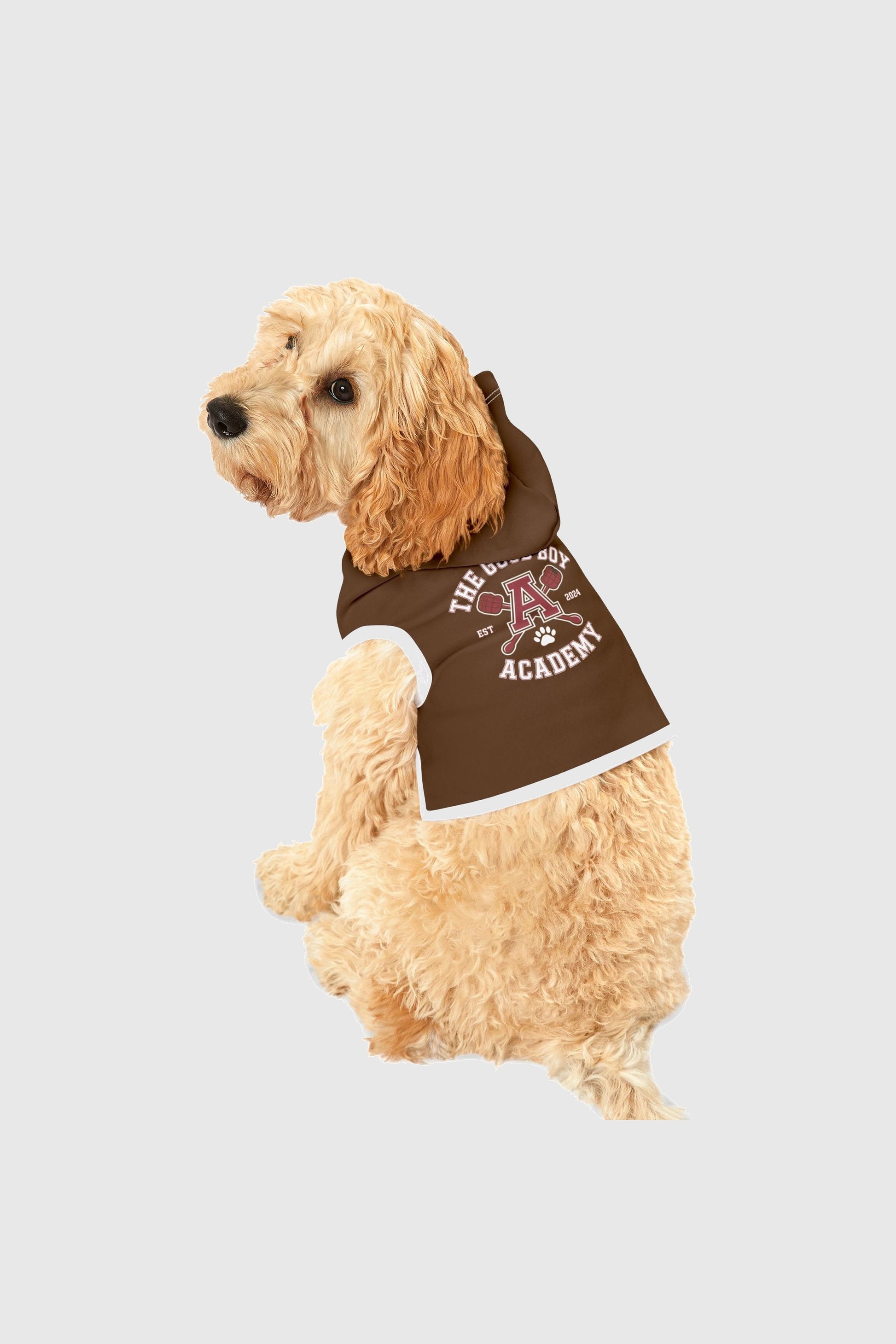 The good boy academy print detail on brown dog hoodie
