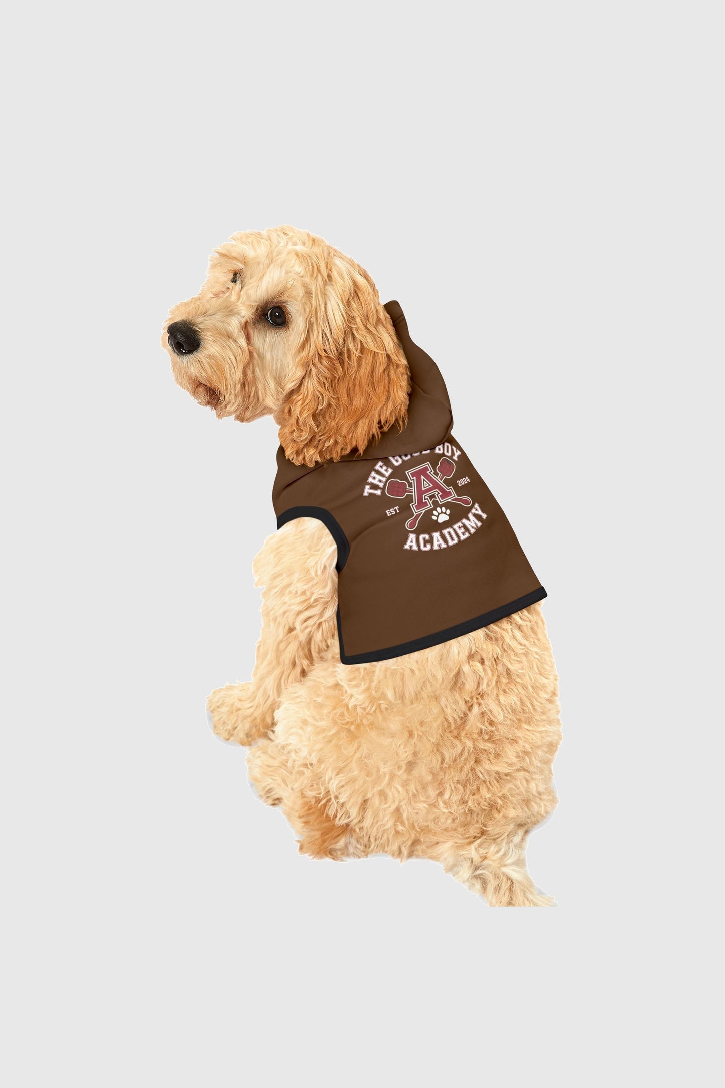 Labrador wearing brown the good boy academy dog hoodie