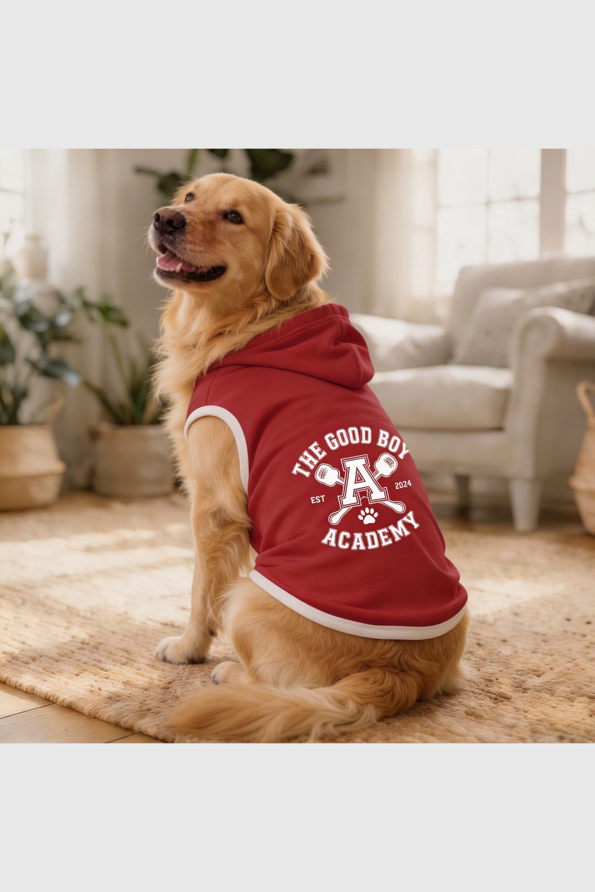 Red dog hoodie with the good boy academy print, pullover style