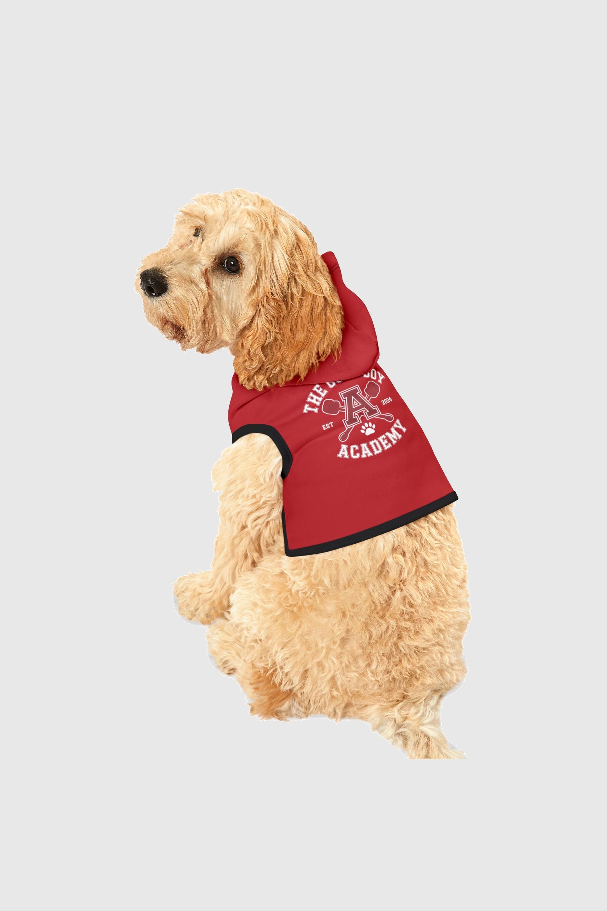 The good boy academy print detail on red dog hoodie
