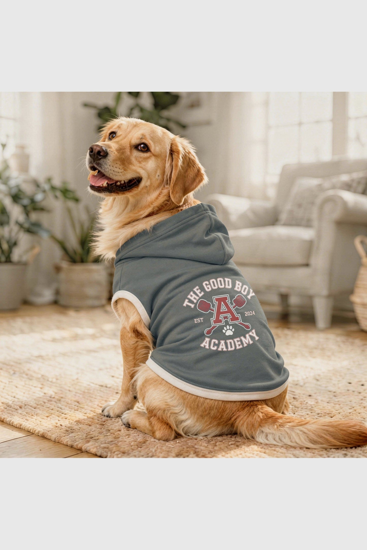 Gray dog hoodie with the good boy academy print, pullover style