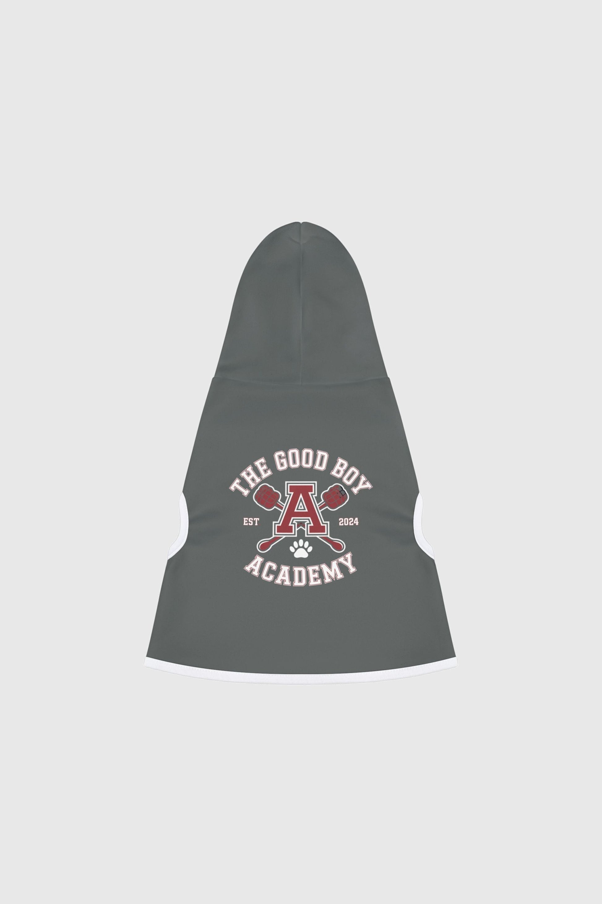 Golden retriever wearing gray the good boy academy dog hoodie