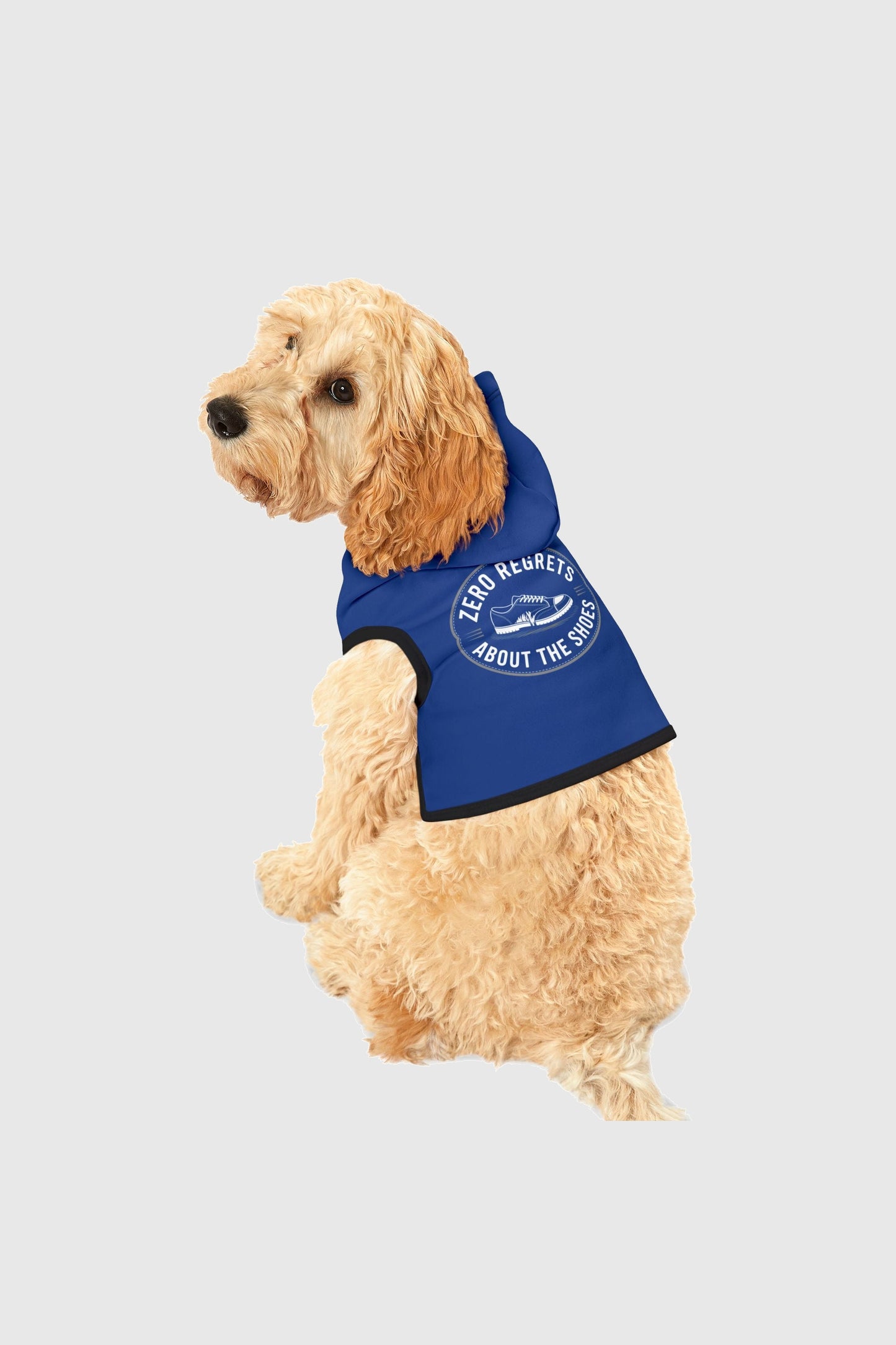 Zero regrets about the shoes print detail on blue dog hoodie