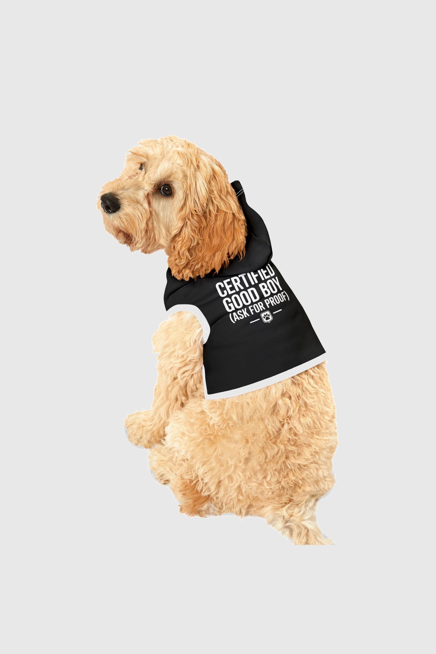 Certified good boy print detail on black dog hoodie
