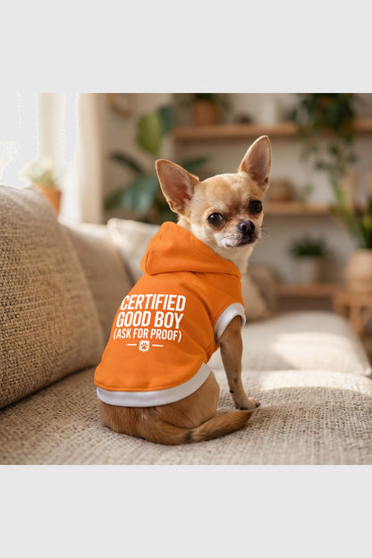 Orange dog hoodie with certified good boy print, pullover style