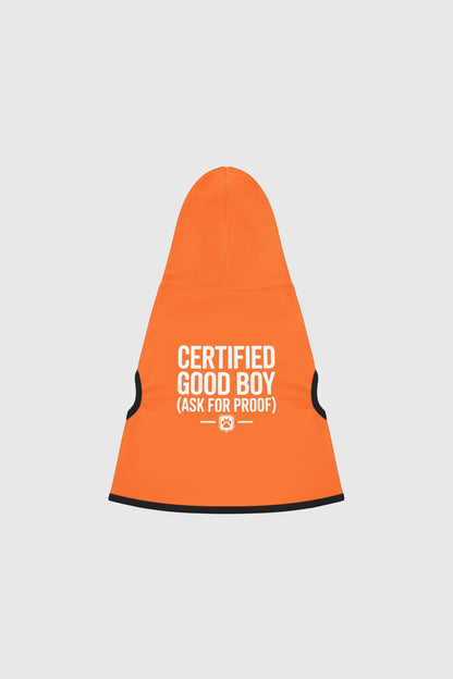 Golden retriever in orange certified good boy dog hoodie