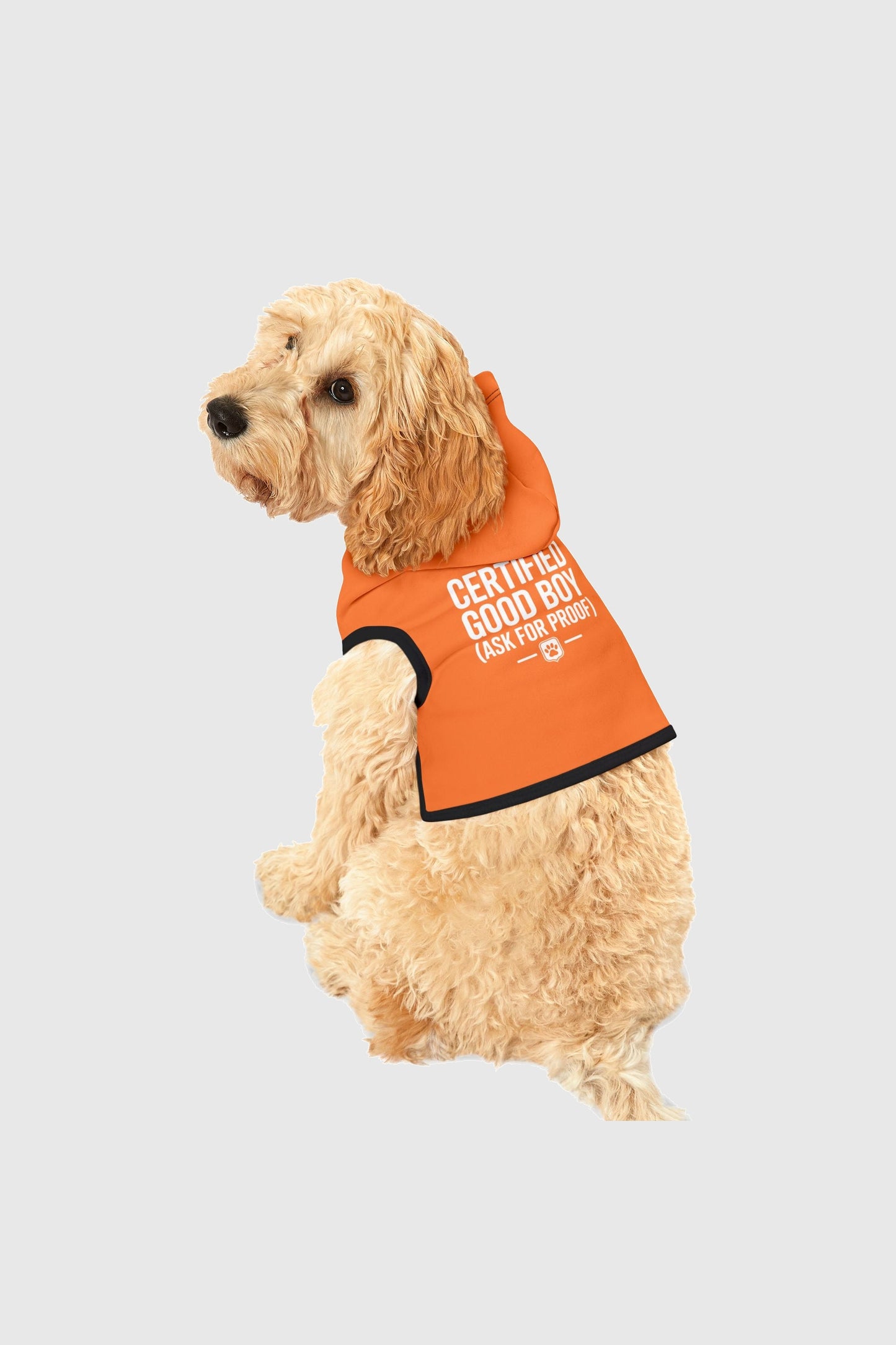 Labrador wearing orange certified good boy ask for proof dog hoodie
