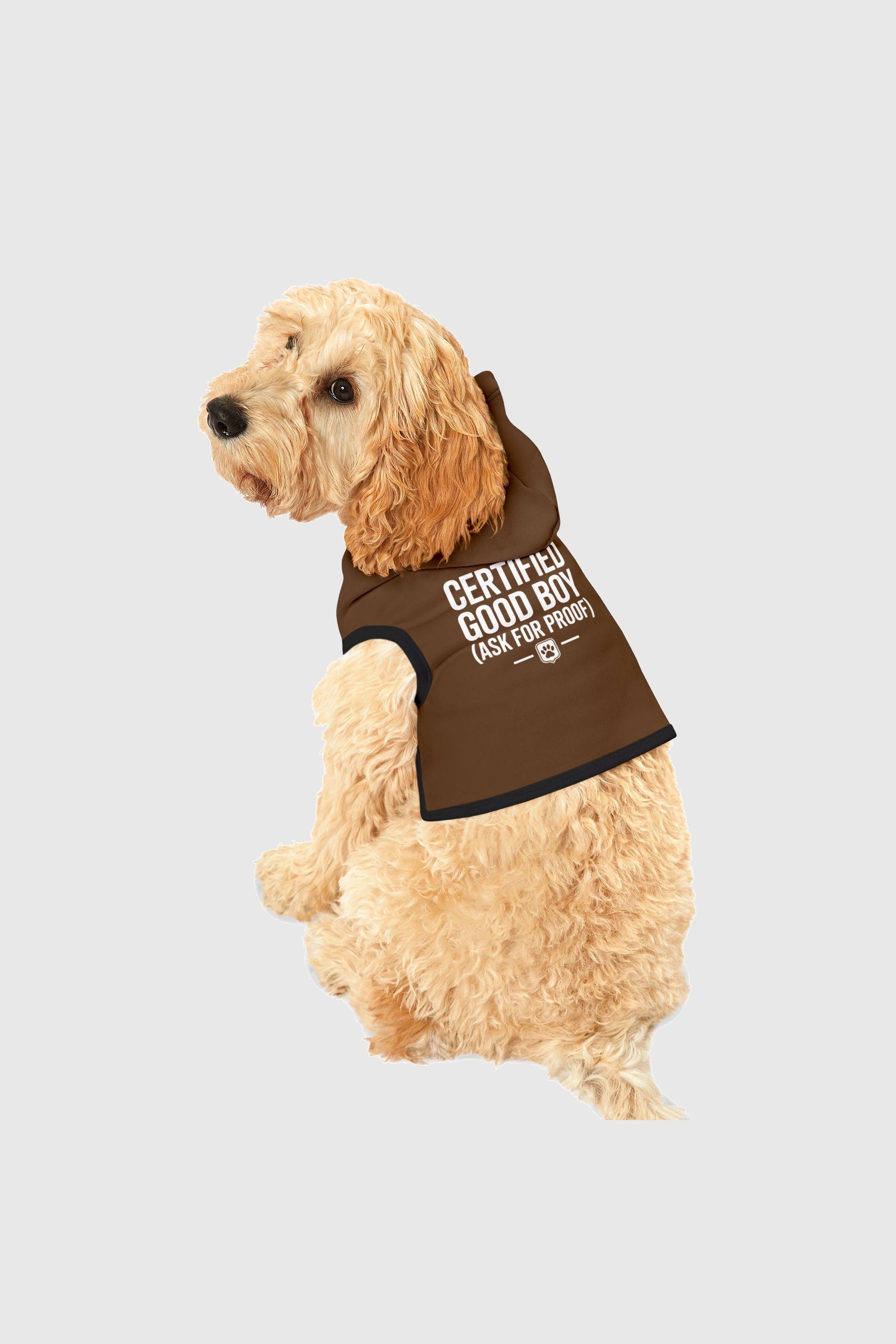 Labrador wearing brown certified good boy ask for proof dog hoodie
