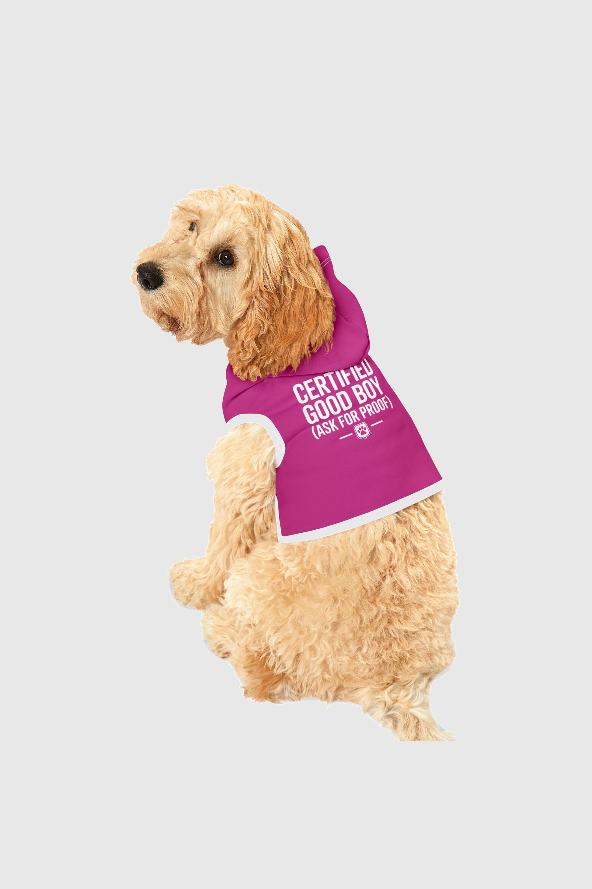 Certified good boy print detail on pink dog hoodie