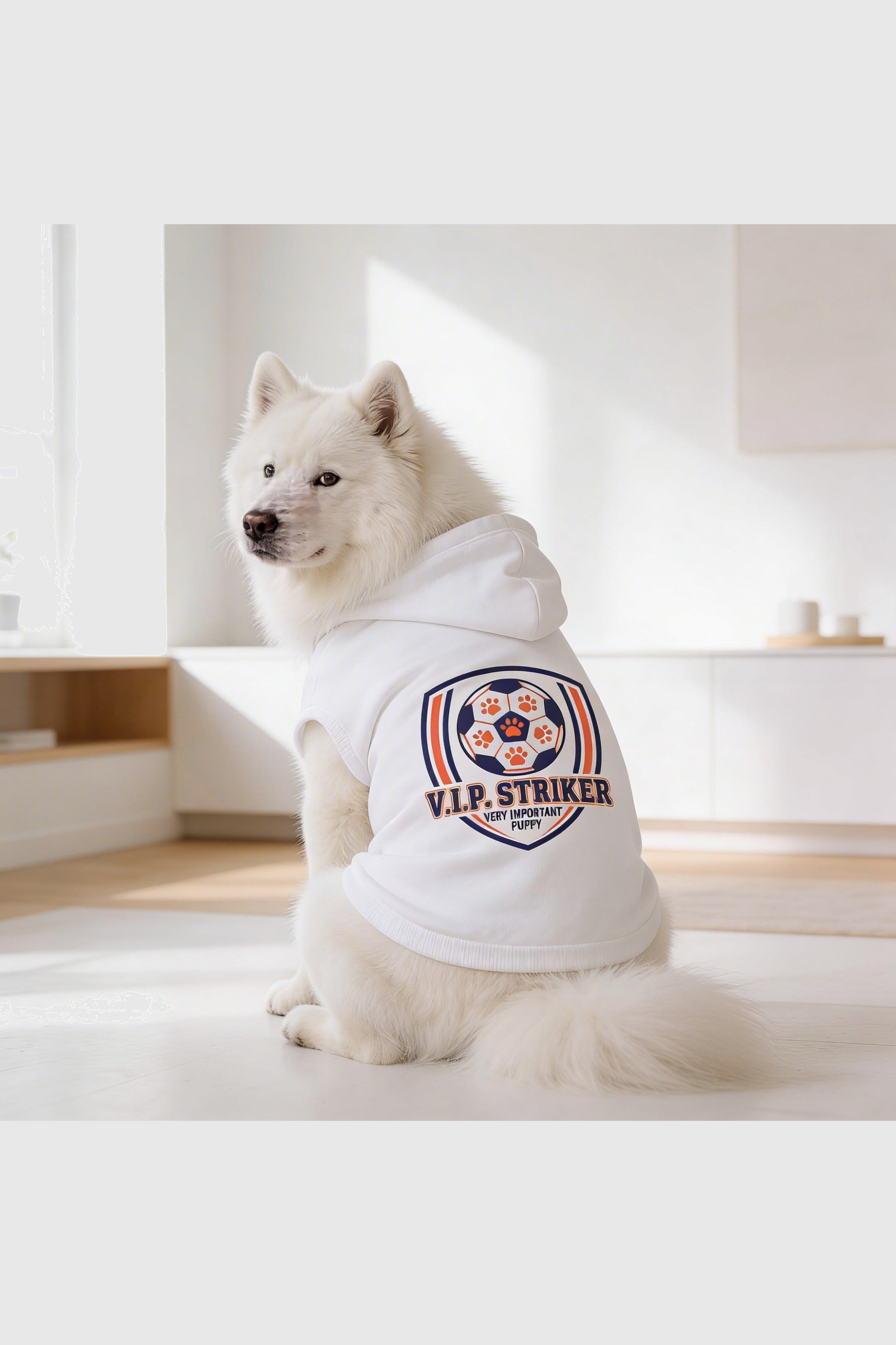 White dog hoodie with vip striker soccer print, pullover style