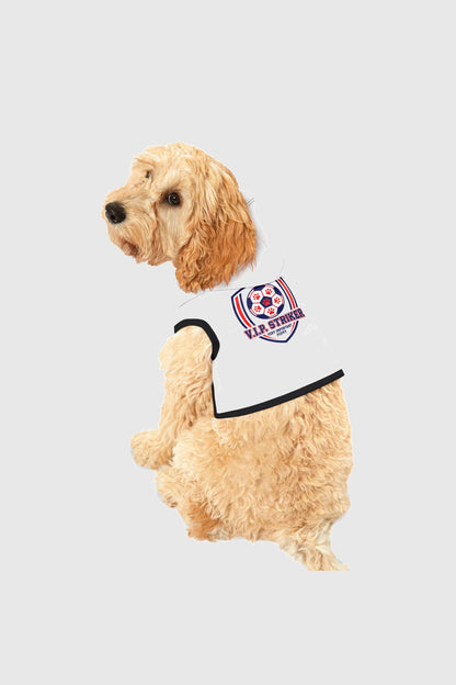 Dachshund wearing white vip striker soccer dog hoodie