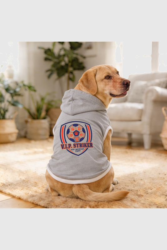 Light gray dog hoodie with vip striker soccer print, pullover style