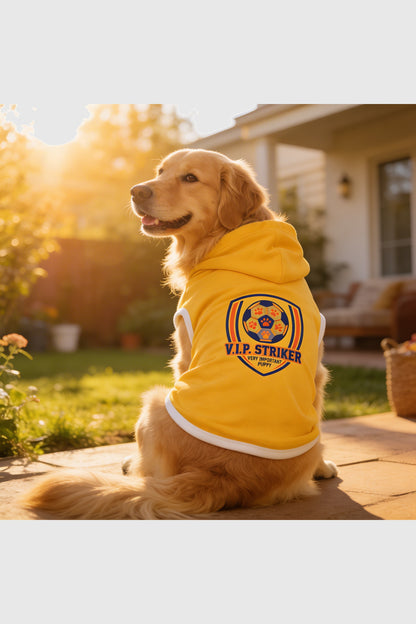 Yellow dog hoodie with vip striker soccer print, pullover style