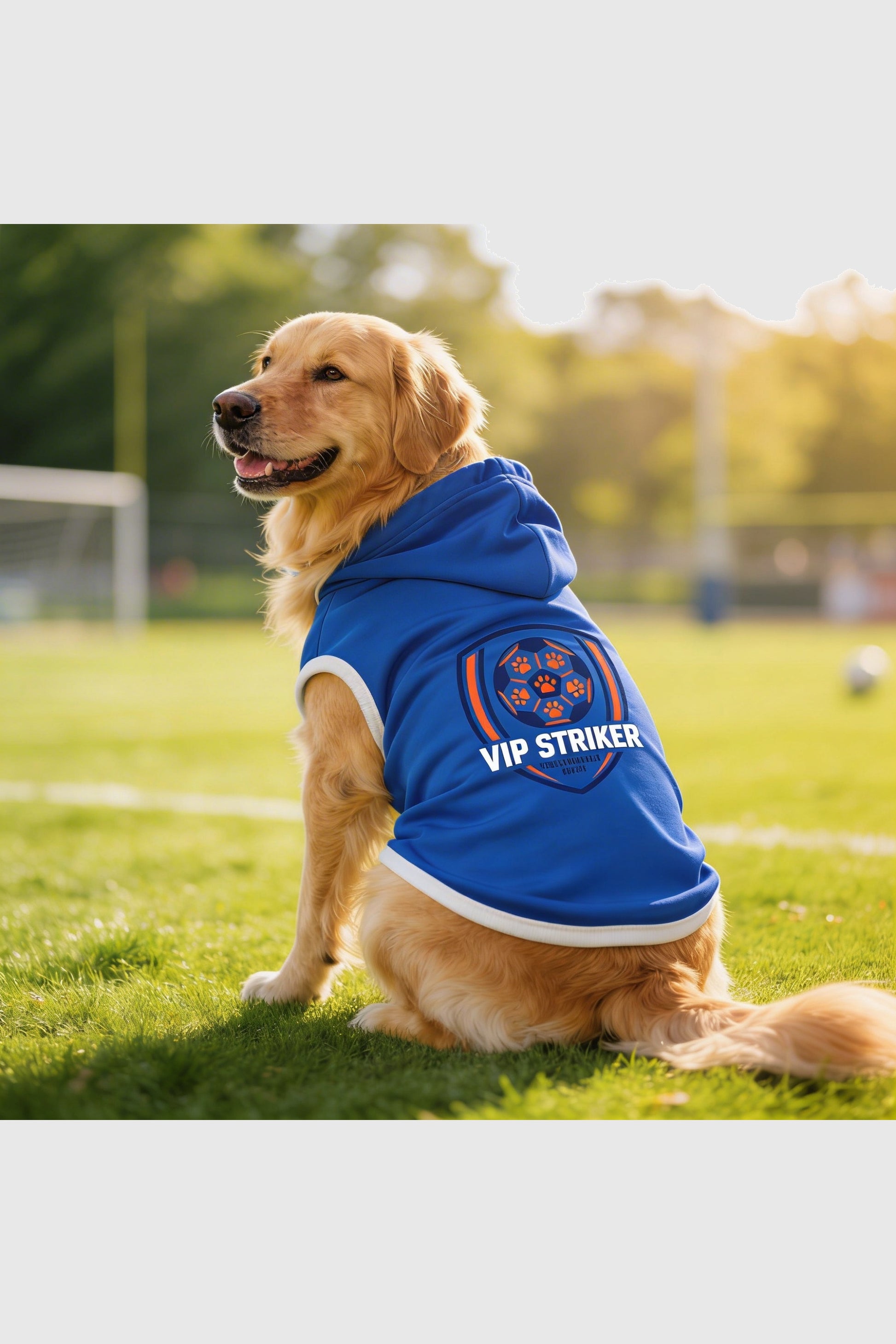 Blue dog hoodie with vip striker soccer print, pullover style
