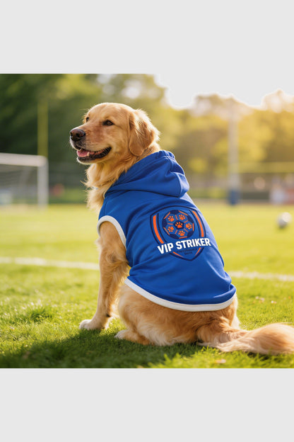 Blue dog hoodie with vip striker soccer print, pullover style