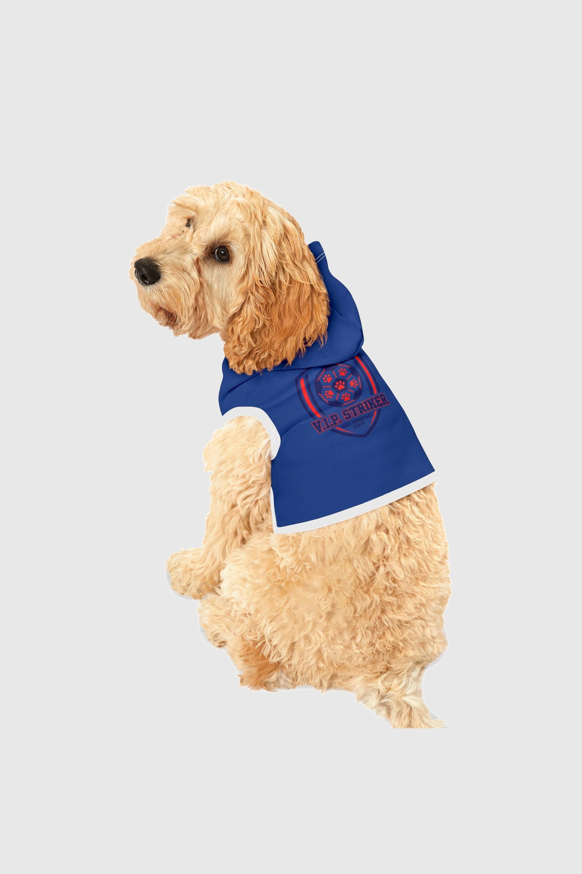 Vip striker soccer print detail on blue dog hoodie