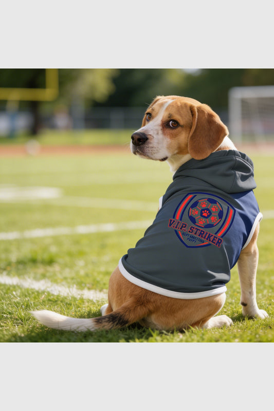 Gray dog hoodie with vip striker soccer print, pullover style
