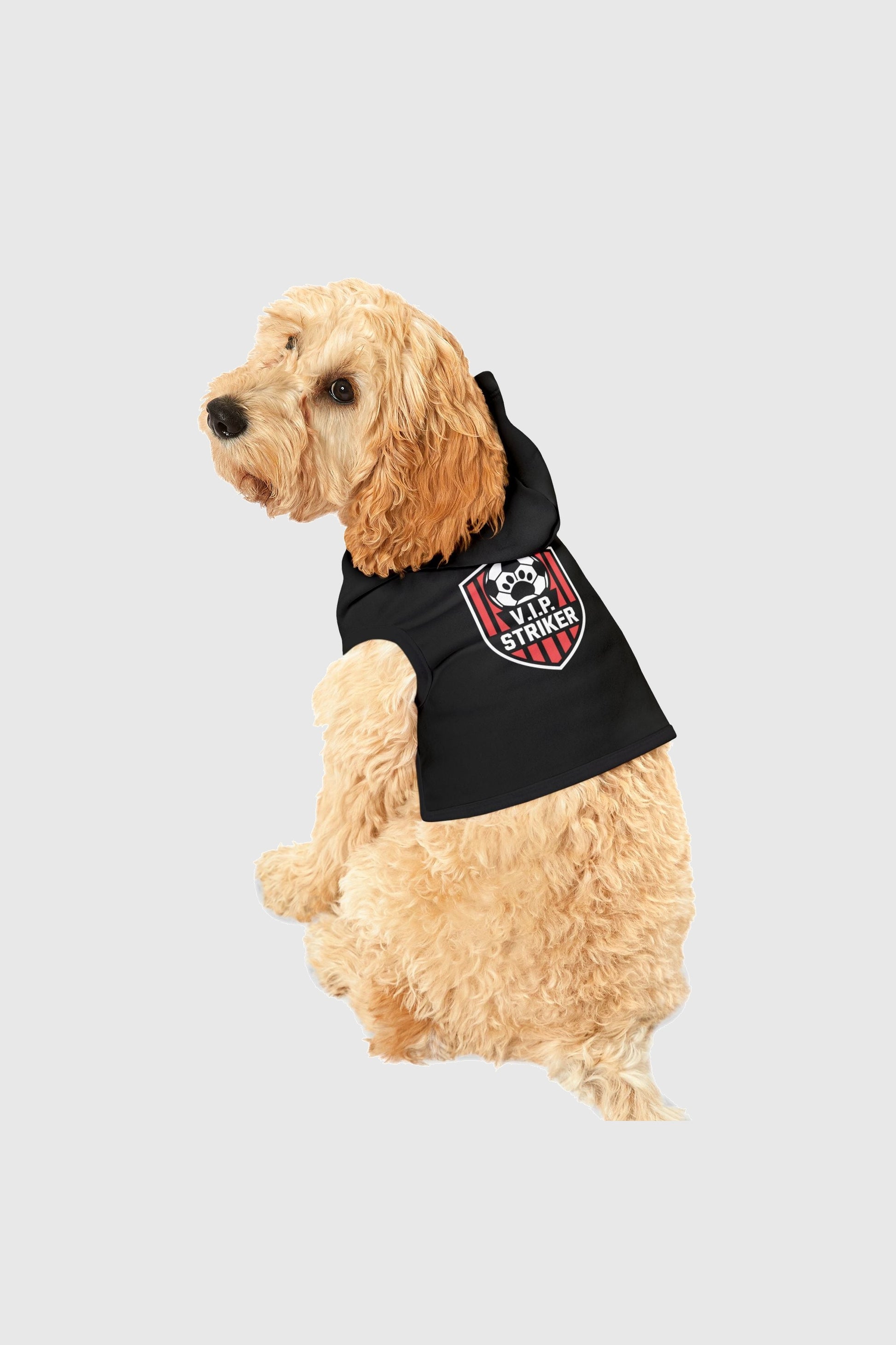 Vip striker soccer print detail on black dog hoodie
