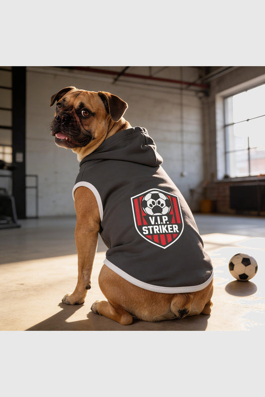 Dark gray dog hoodie with vip striker soccer print, pullover style