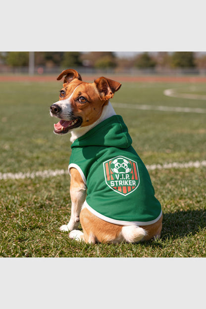 Green dog hoodie with VIP striker soccer print, pullover style