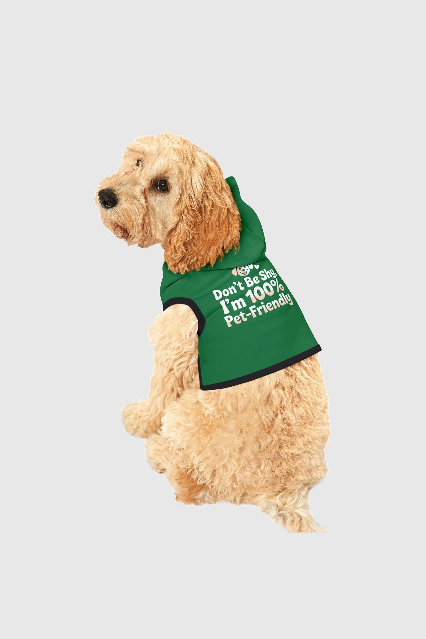 Green dog hoodie with Don't Be Shy graphic, back view