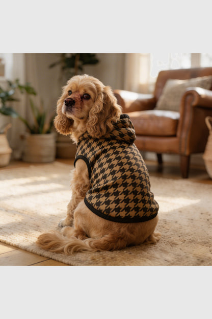 Cozy fashionable hooded dog coat, warm pullover style