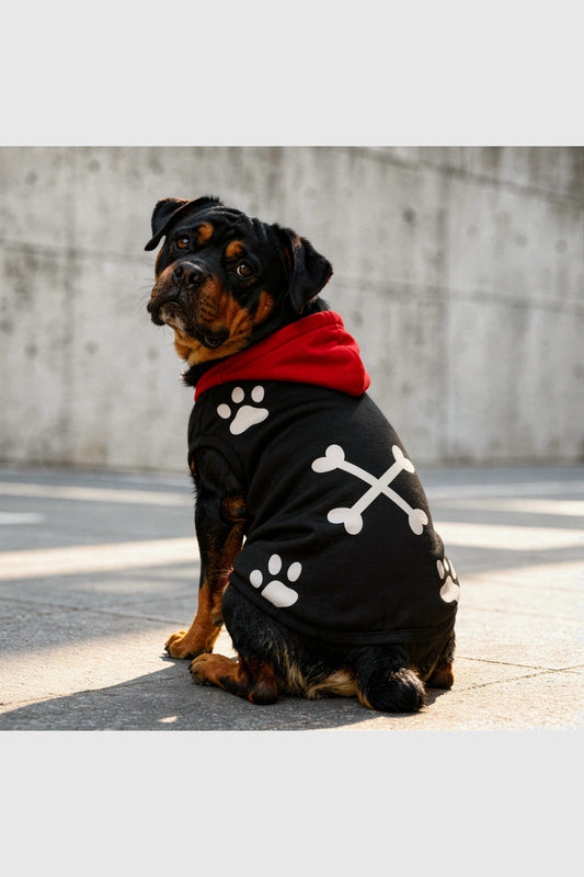 White dog hoodie with paw print crossbones design, pullover style