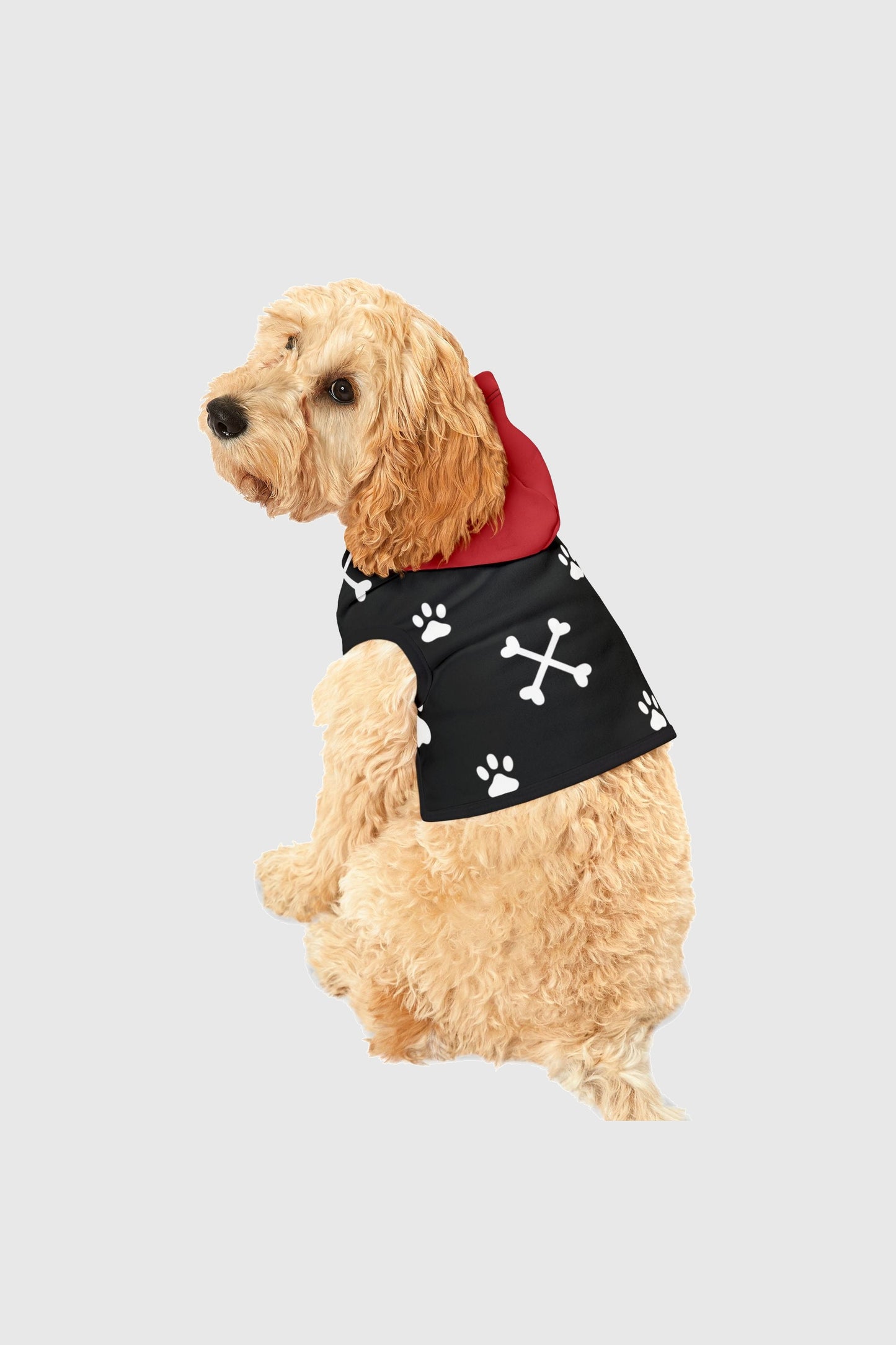 Golden retriever wearing white dog hoodie with paw print crossbones