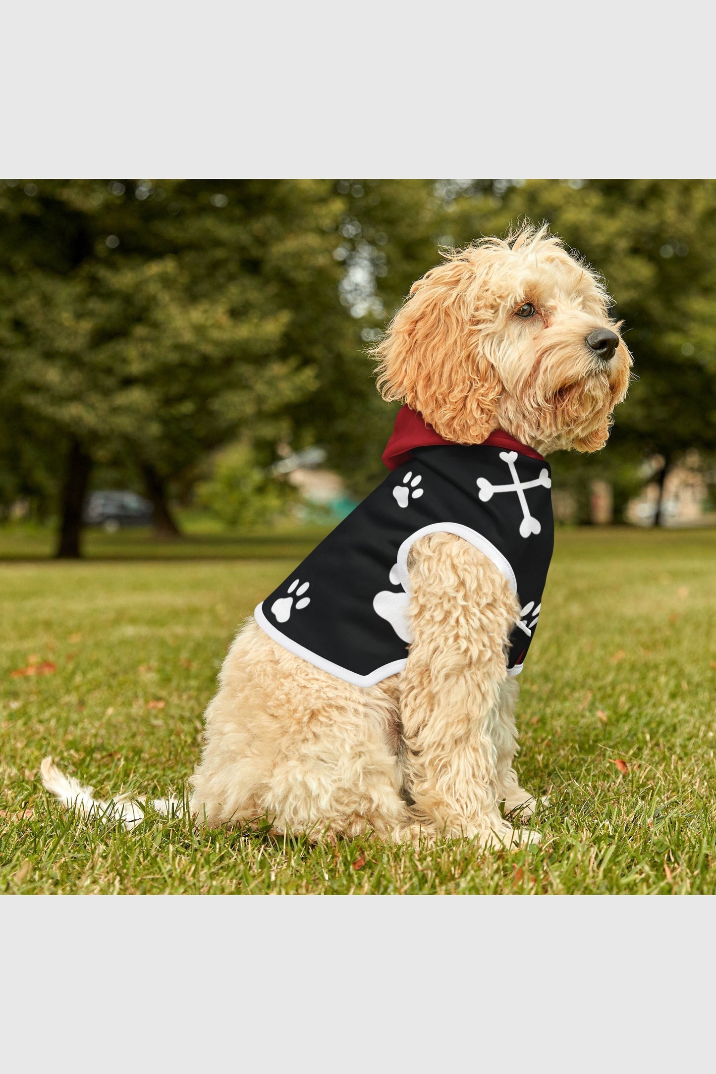 Weimaraner wearing white paw print crossbones dog hoodie