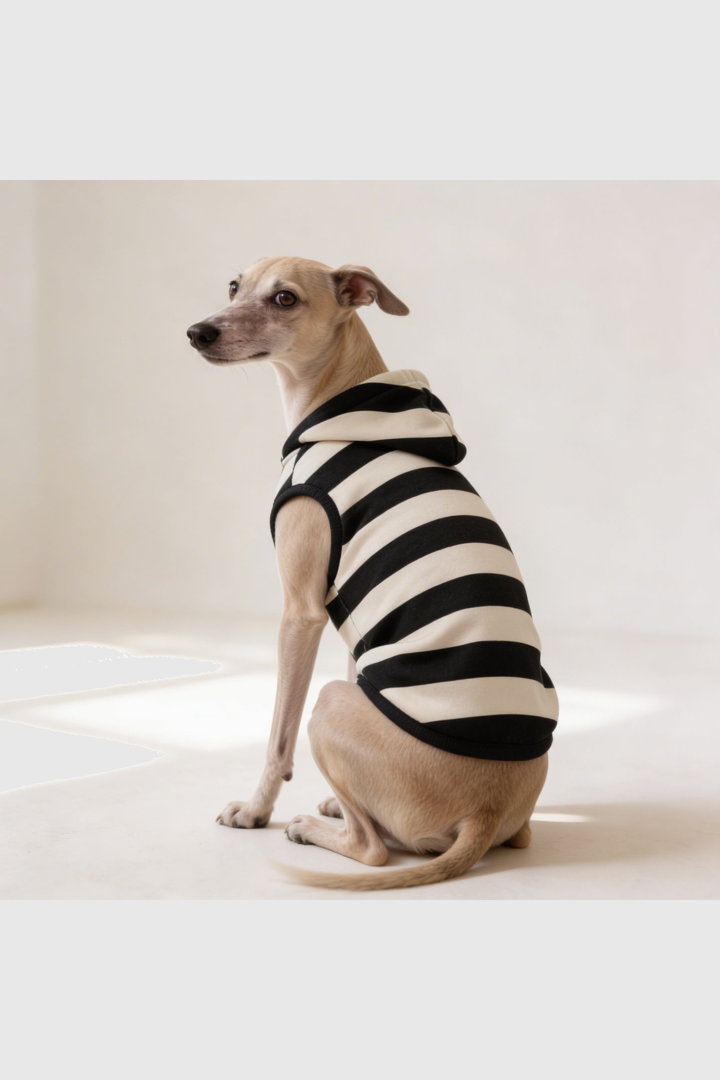 Black and cream chevron stripe cozy dog hoodie, pullover style