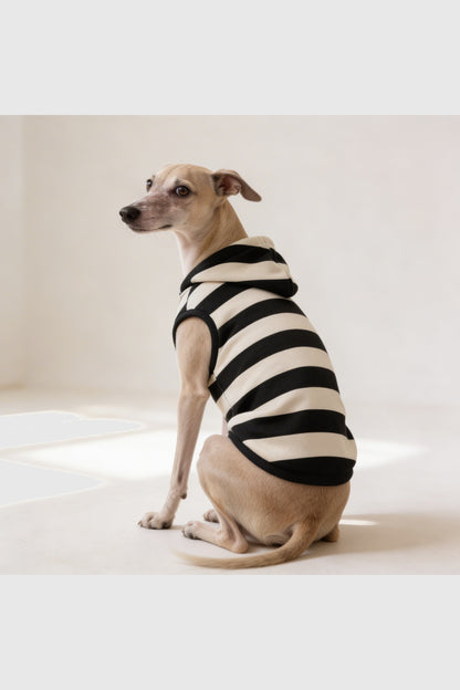 Black and cream chevron stripe cozy dog hoodie, pullover style