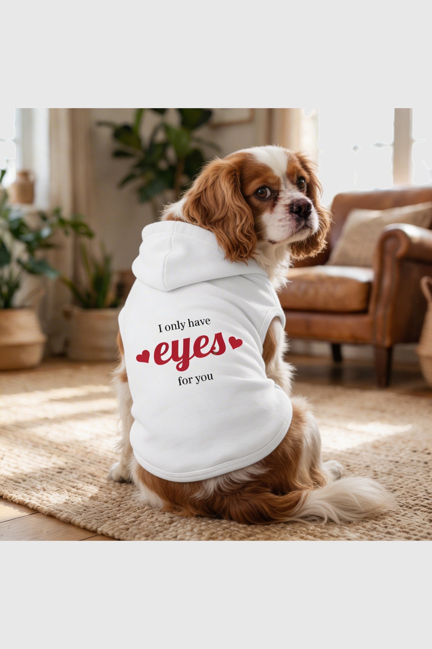Dog hoodie with I Only Have Eyes For You print, pullover style