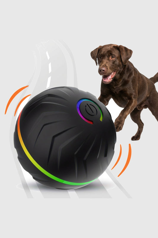 Durable rubber fetch dog ball toy, bright color