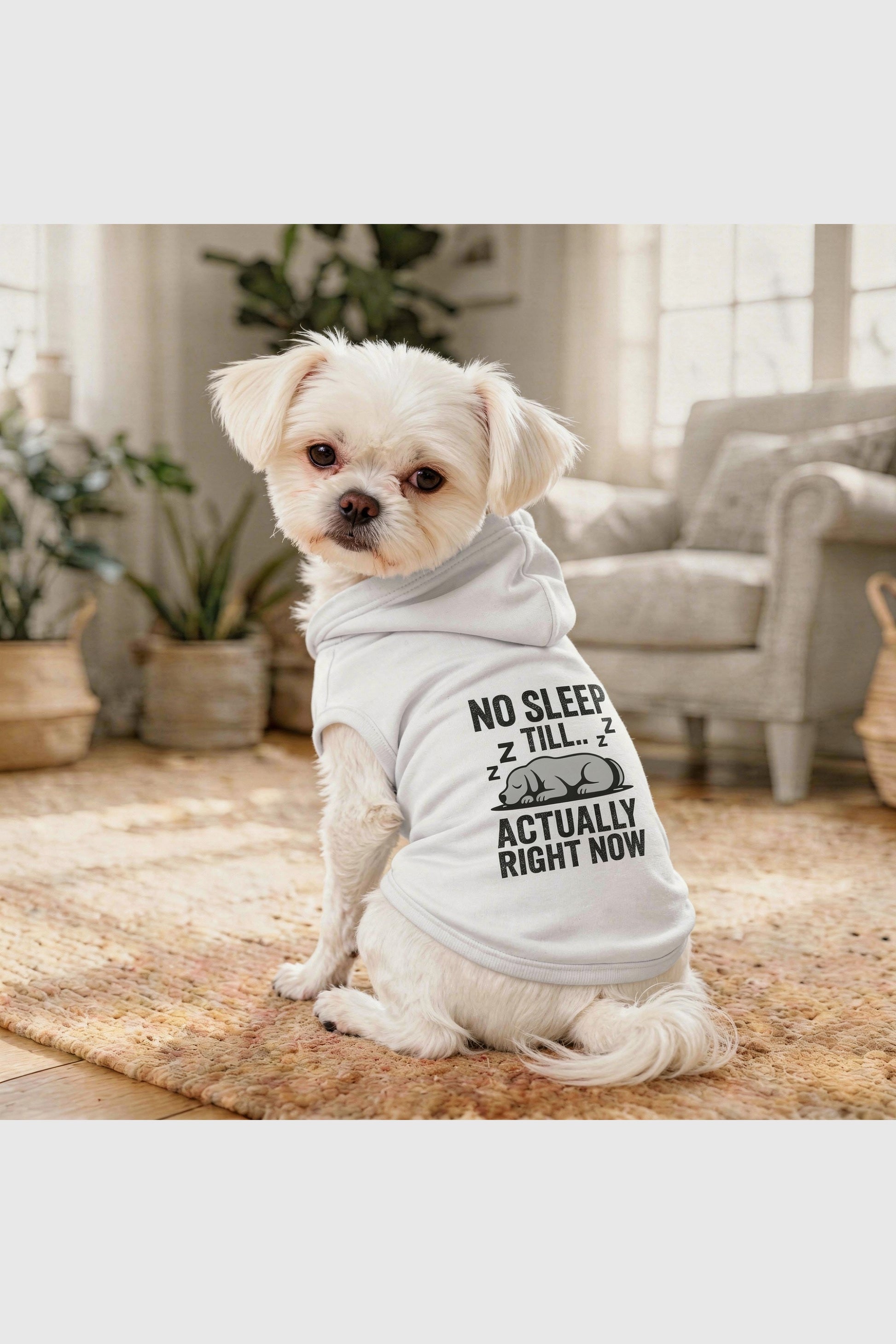 White dog hoodie with No Sleep Till White print, pullover style