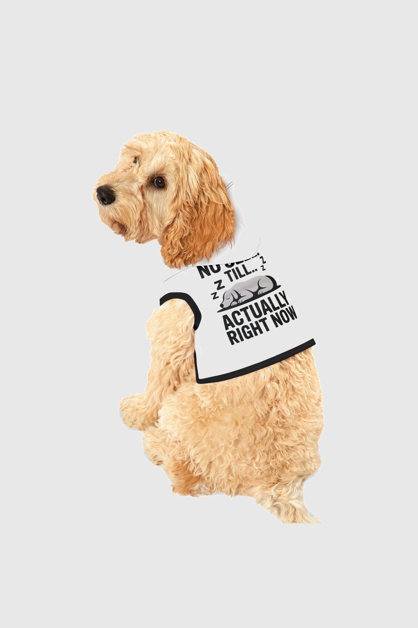 Basset hound wearing white dog hoodie with No Sleep Till print