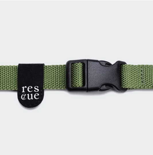 Green reflective nylon dog collar side view, D-ring