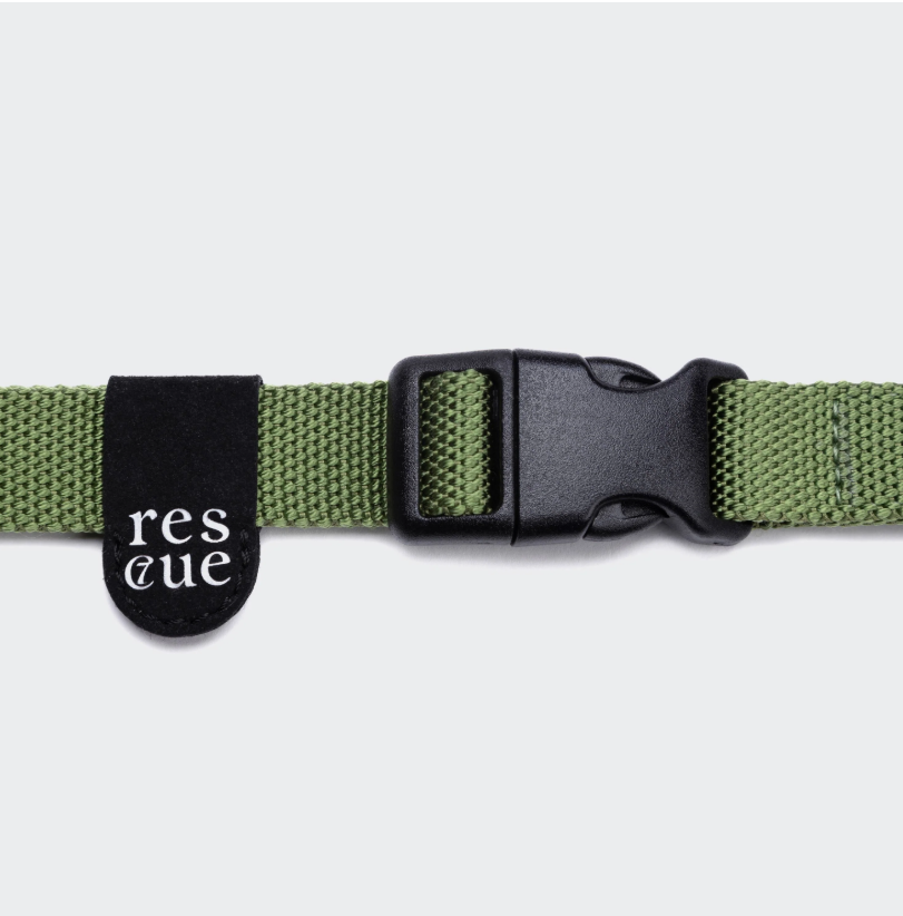 Green reflective nylon dog collar side view, D-ring