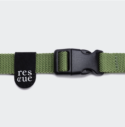 Green reflective nylon dog collar side view, D-ring