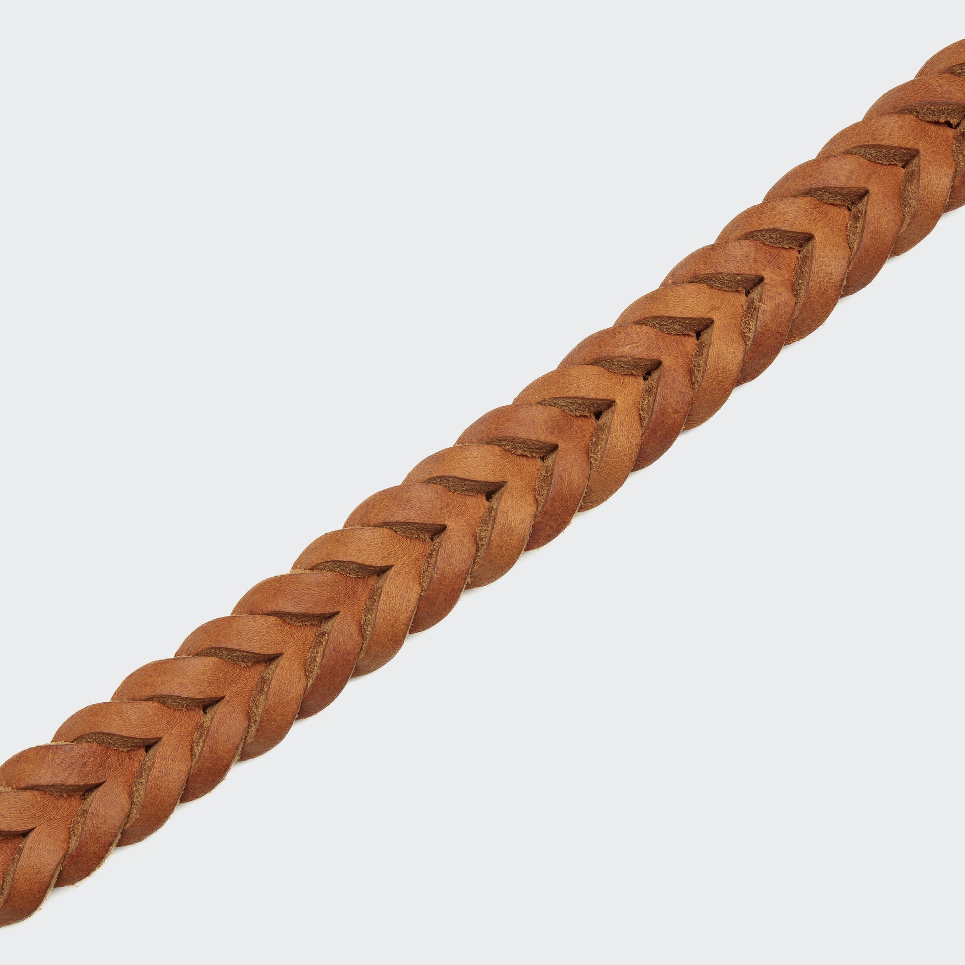 Camel dog collar side view, adjustable D-ring