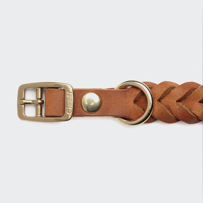 Camel leather dog collar back view, gold quick-release buckle