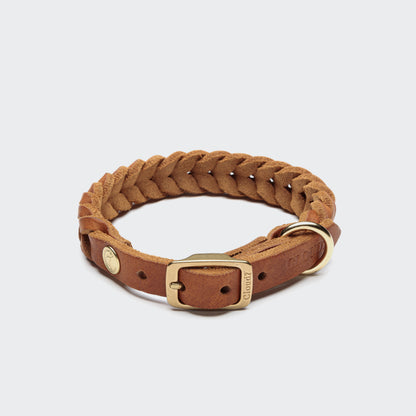 Camel leather dog collar with gold hardware, Cloud 7 Central Park
