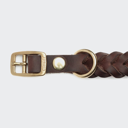 Saddle brown leather dog collar back view, gold buckle