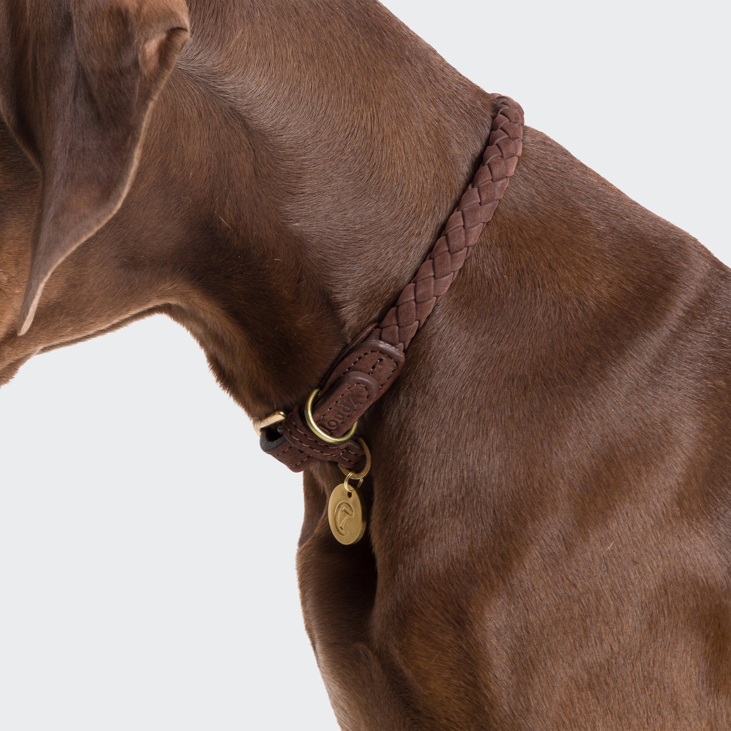 Ravello Hazel dog collar hardware detail, premium leather