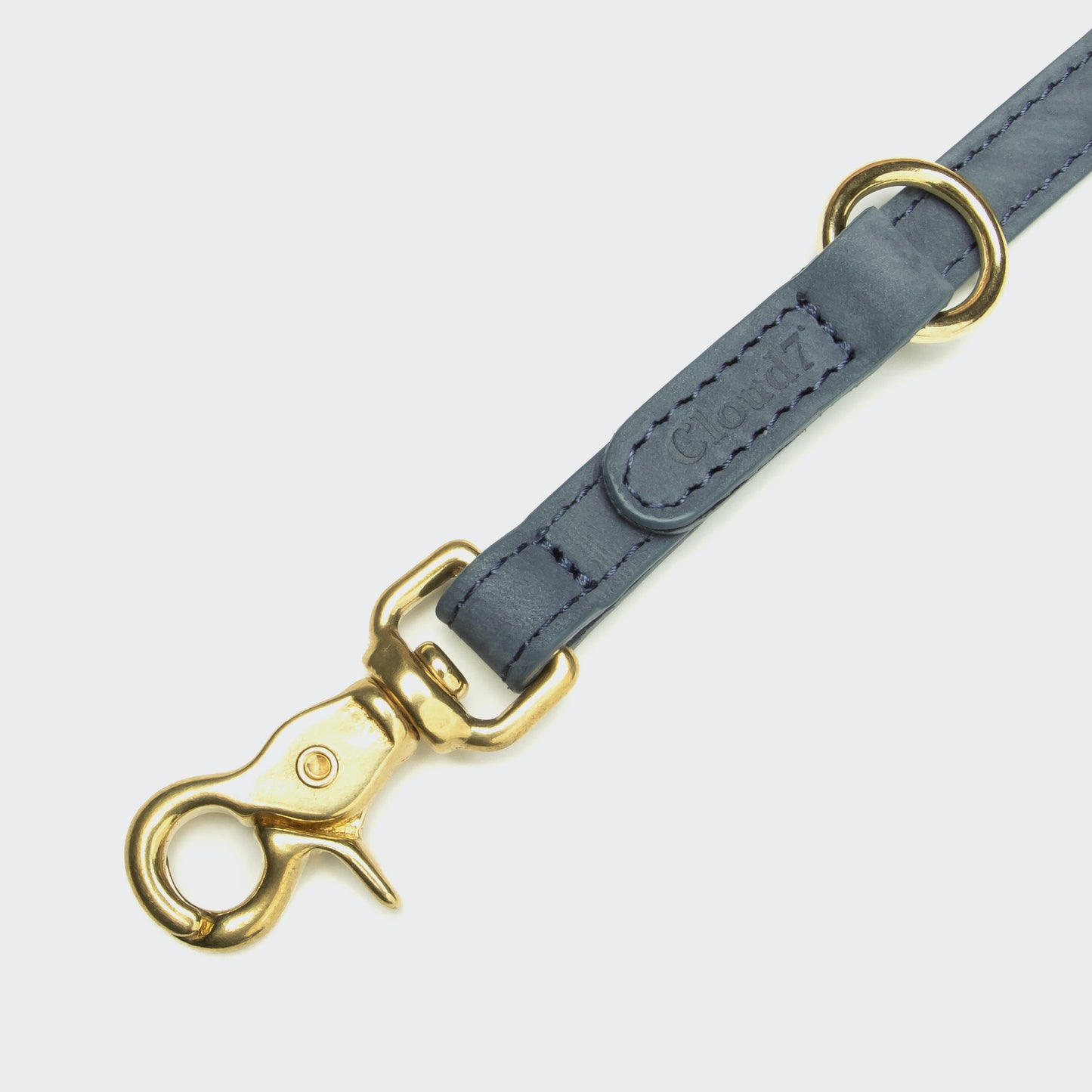 Dachshund wearing dove grey dog collar, Cloud 7 Tiergarten