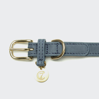 Dove grey dog collar back view, quick-release buckle